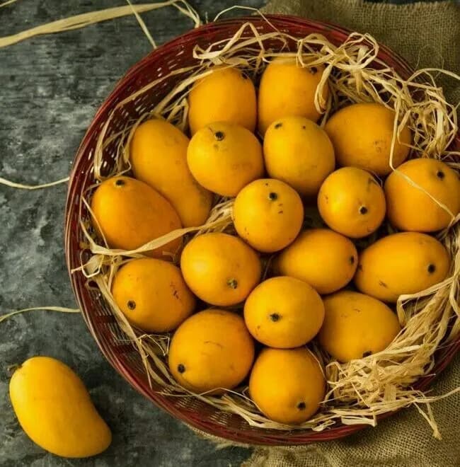 Mango