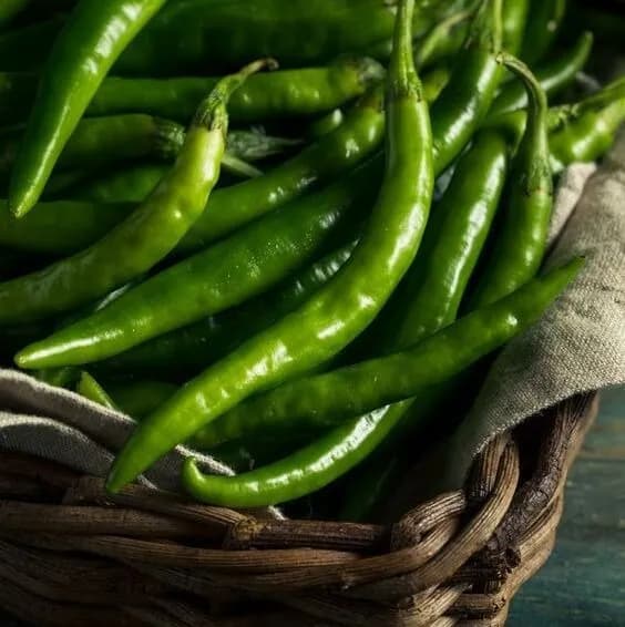 Green Chilly