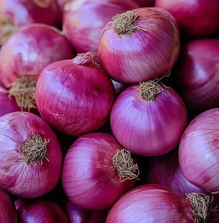 Onion